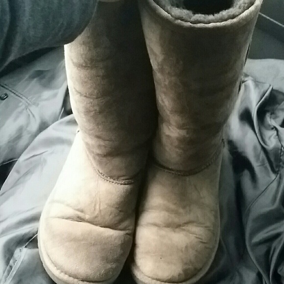 Ugg Tall