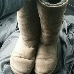 Ugg Tall