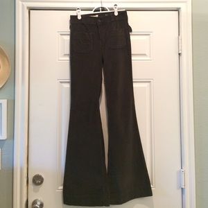 Anthropologie Pilcro Dark Gray Cords