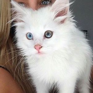 Meet your Posher, Rylie