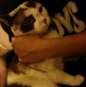 Meet your Posher, Oni