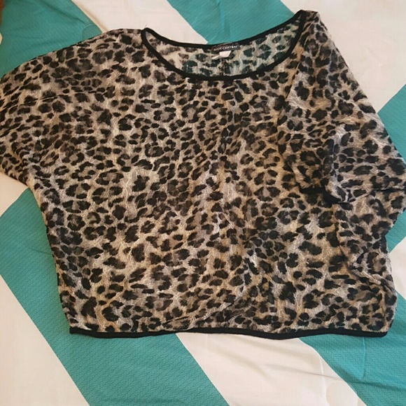Sheer cheetah top