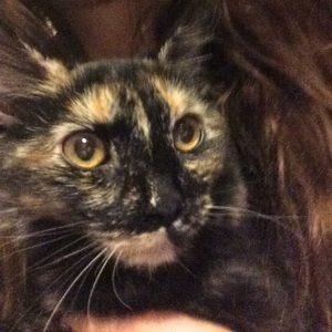 Meet your Posher, Casey