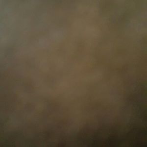 Meet your Posher, Brittney