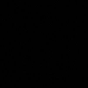 Meet your Posher, Sara rose