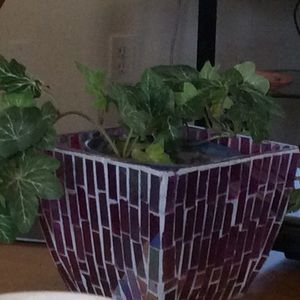 Meet your Posher, Vidya