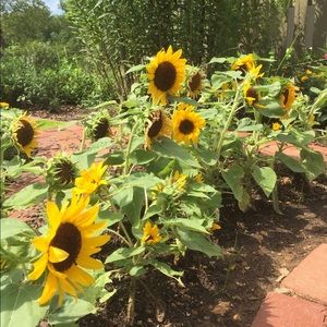 Meet your Posher, Kaytlin