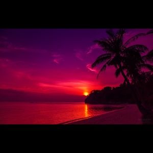 Meet your Posher, Sydney