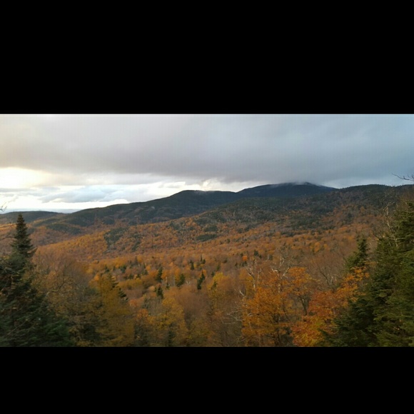 Meet your Posher, Leyla