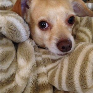 Meet your Posher, Mara