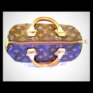 Louis Vuitton small speedy