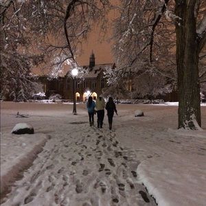 Meet your Posher, Audrey