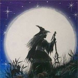 Meet your Posher, Rose