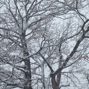 Meet your Posher, Jodi