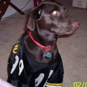 Meet your Posher, Lori