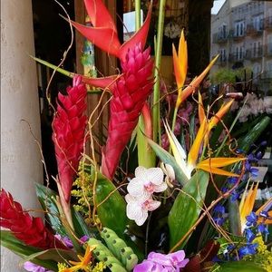 Meet your Posher, Krystyna