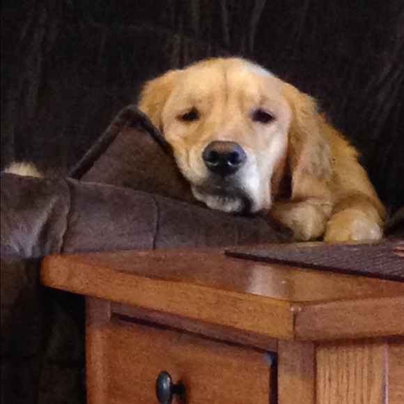 Meet your Posher, Jessica