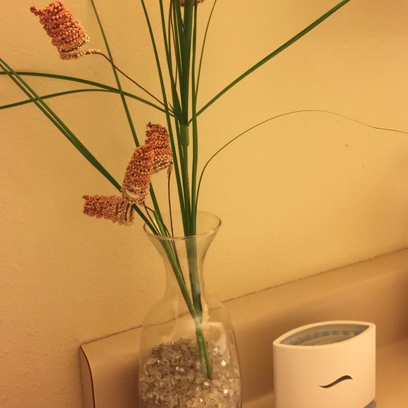 Meet your Posher, Saidie - Picture 1 of 1