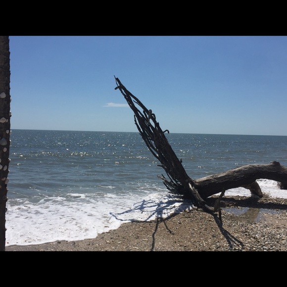 Meet your Posher, James - Picture 1 of 1