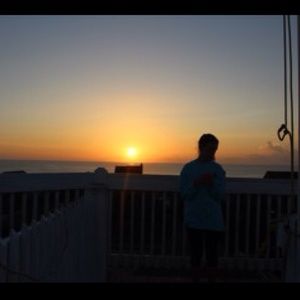 Meet your Posher, Daisy