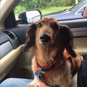 Meet your Posher, Andrea