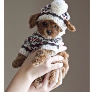 Meet your Posher, Linda