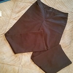 Petite Brown Pants