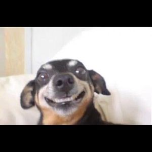 Meet your Posher, Jay