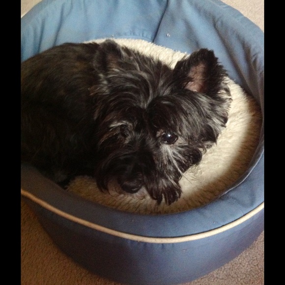 Meet your Posher, Rae - Picture 1 of 1