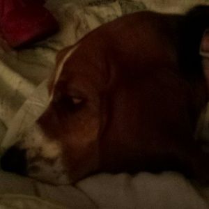 Meet your Posher, Margaret