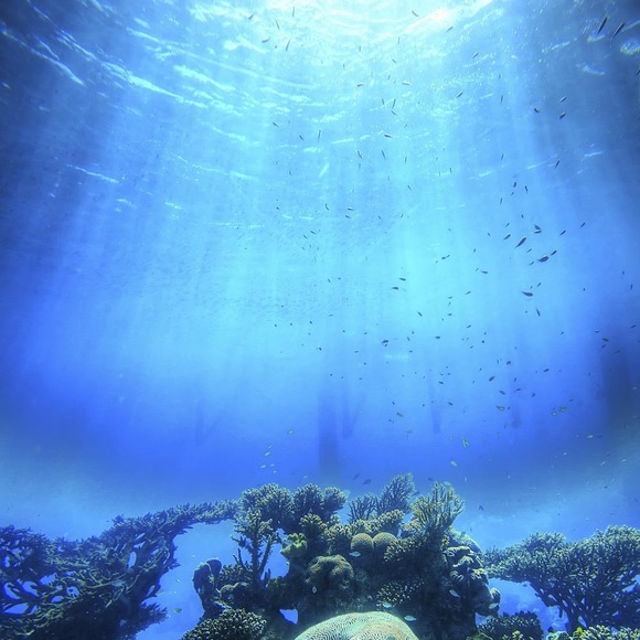 Meet your Posher, Sharms - Picture 1 of 1