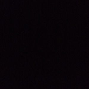 Meet your Posher, Dalila