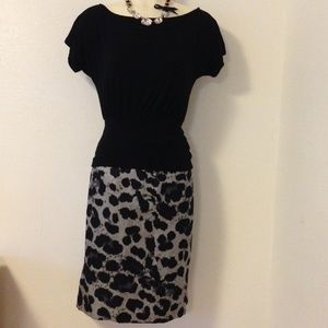 Banana Republic Pencil Skirt