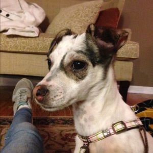 Meet your Posher, Madelyn