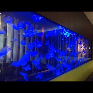 Meet your Posher, Veronica