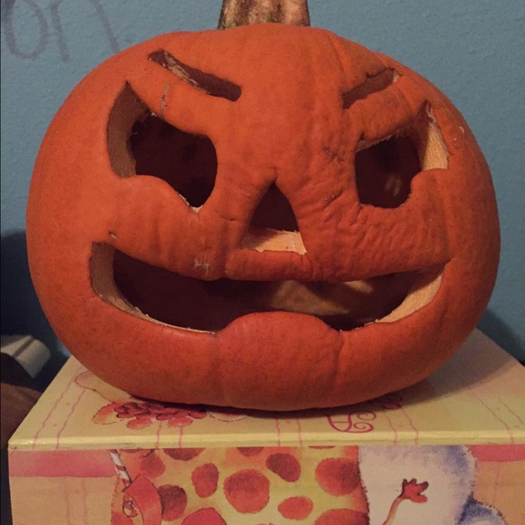 Meet your Posher, Perla - Picture 1 of 1