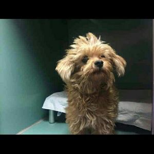 Meet your Posher, Jakea