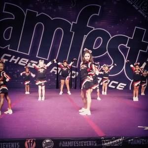 Meet your Posher, Harley