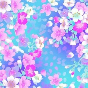 Meet your Posher, Deanna