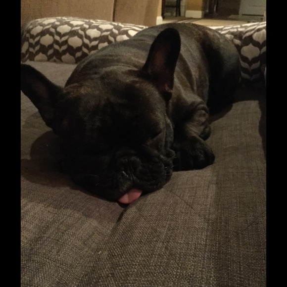 Meet your Posher, Lori - Picture 1 of 1