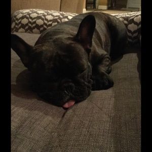 Meet your Posher, Lori