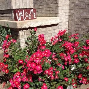 Meet your Posher, Jane