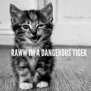 Meet your Posher, Mary