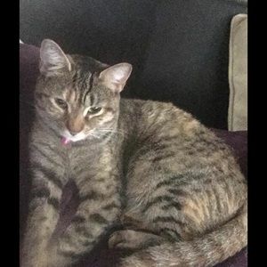 Meet your Posher, Christy