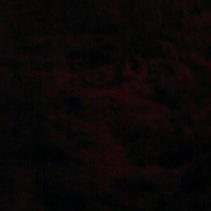 Meet your Posher, Nana