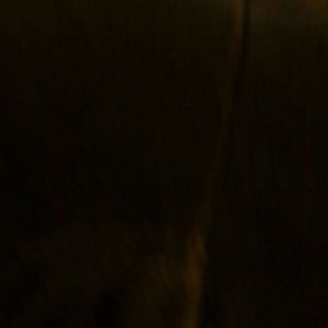 Meet your Posher, Wade