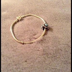 Pandora Bracelet