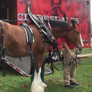 Meet your Posher, Donna