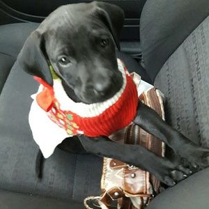 Meet your Posher, Jessica