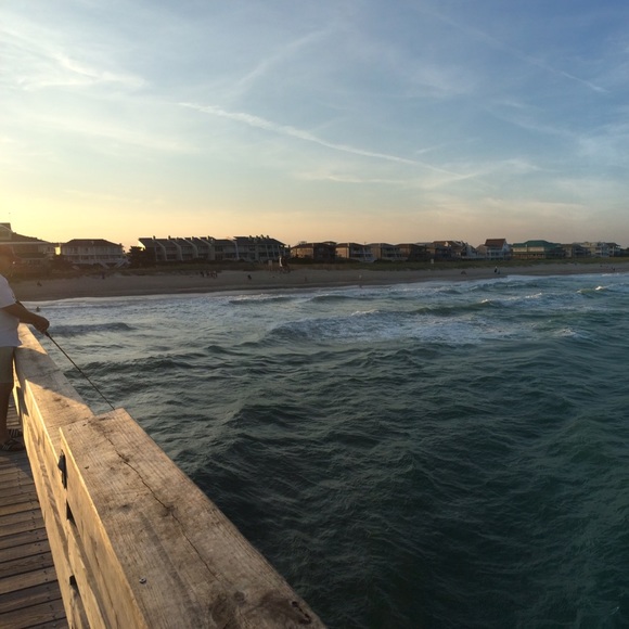 Meet your Posher, Ellie - Picture 1 of 1